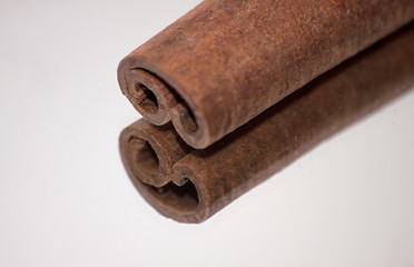 Cinnamon Sticks