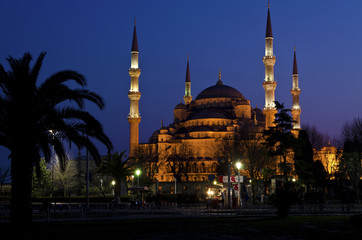 Fototapeta na wymiar Night view of Blue Mosque (Sultanahmet Mosque)