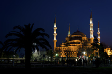 Naklejka premium Night view of Blue Mosque (Sultanahmet Mosque)
