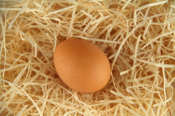 Ei im Stroh
