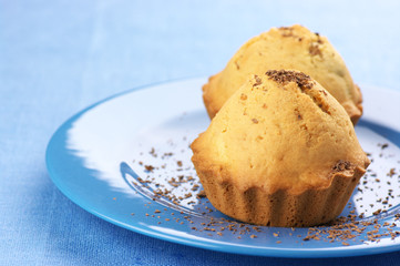 Two cupcakes