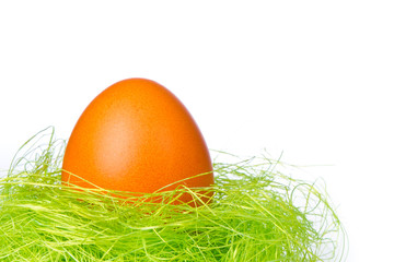 Obraz premium easter egg in nest