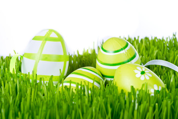 easter eggs in grass