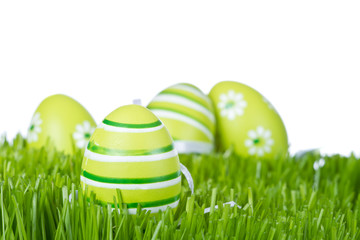 easter eggs in grass