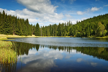 mountain lake and forest
