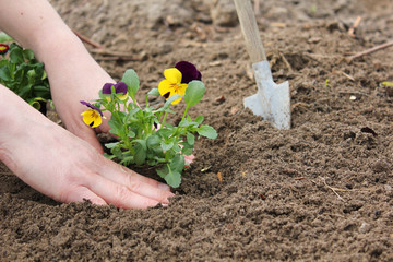 Gartenarbeit