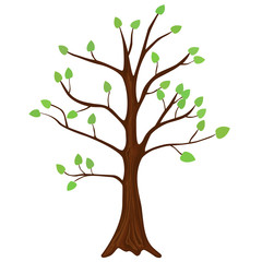 Obraz premium Drzewo