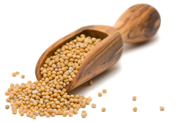 Mustard seeds