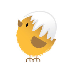 Fluffy easter chicken - vector illustration