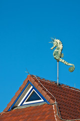 Ein Seepferdchen auf einem Dach.