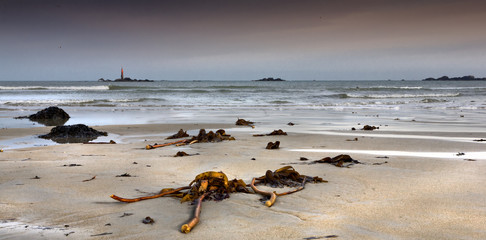 Stormy coastline in low tide..