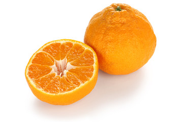 dekopon , japanese high quality citrus fruit