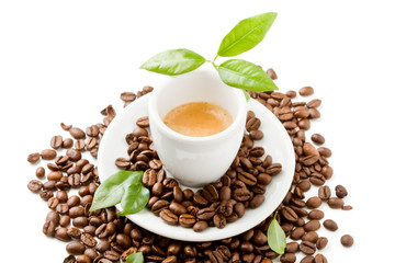 Caffè con foglie verdi su sfondo bianco