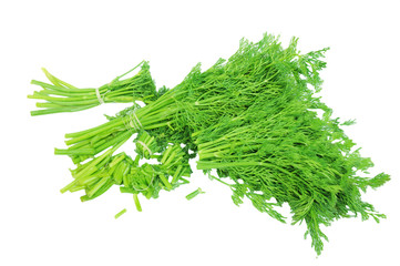 Chopped dill isolated on the white background