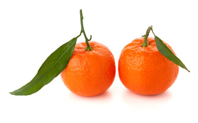 Two ripe tangerines