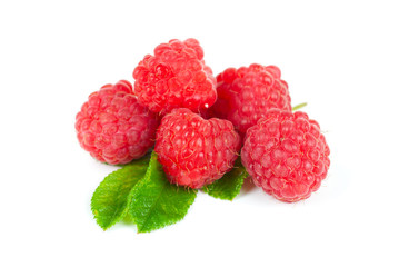 fresh raspberry