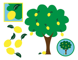 Lemon  and Lemon Tree Design Elements