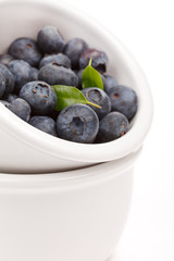 fresh blueberries