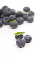 fresh blueberries