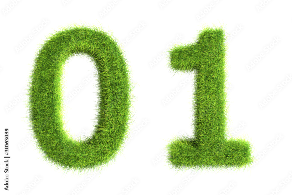 Wall mural grass numbers