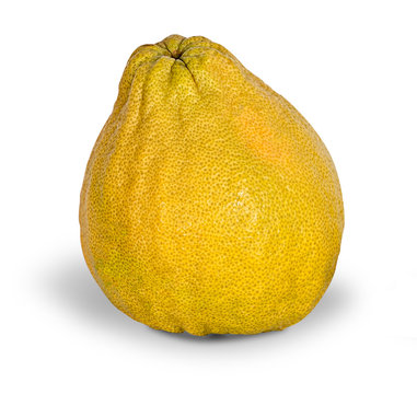Pomelo isolated on white background