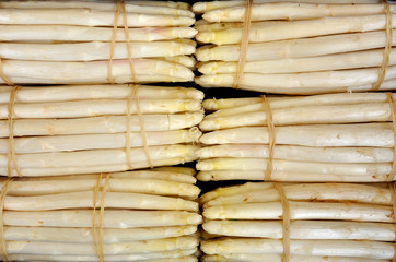White asparagus of Bassano del Grappa, Italy