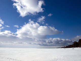 Fototapeta na wymiar Winter. Lake Shore