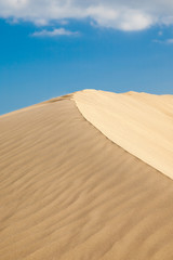 Fototapeta na wymiar desert dunes