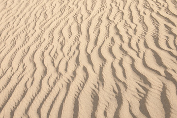 sand desert