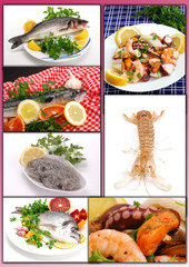 COMPOSIT DI PESCE 2