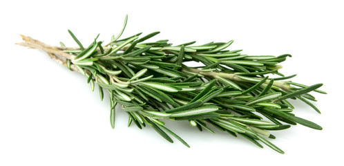 Twig of rosemary