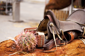 Sella e cactus