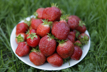 bowl of strawberries
