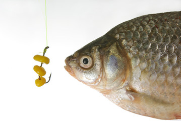 Карась и крючок