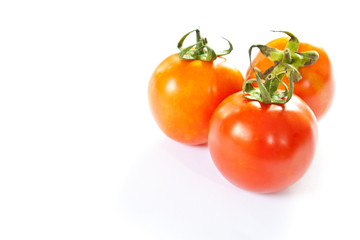 tomatoes on a white background