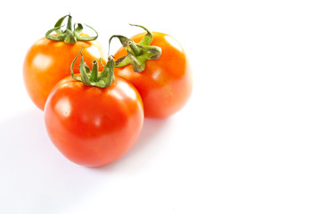 tomatoes on a white background