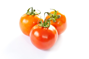 tomatoes on a white background