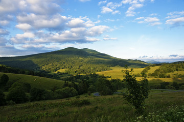 Fototapeta na wymiar Green mountain Bieszczady