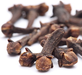 Spice cloves on white background