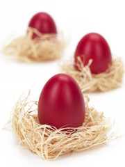 red eggs in nests
