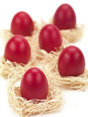 red eggs in grass nests