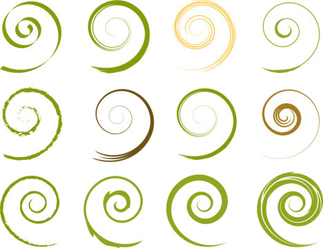 Floral Spiralen Pflanzen