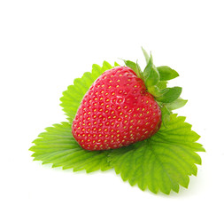 strawberry