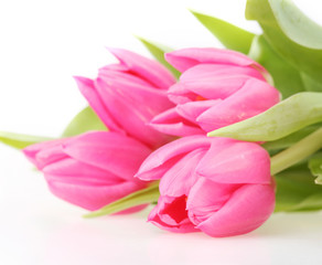 Fototapeta premium Bouquet of pink tulips isolated on a white background