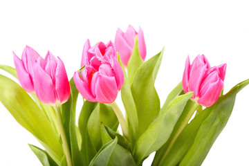 Obraz na płótnie Canvas Bouquet of pink tulips isolated on a white background