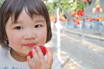 いちご狩り