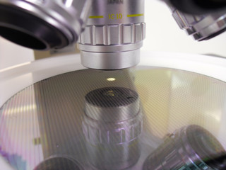 Silicone wafer under the microscope © wolandmaster