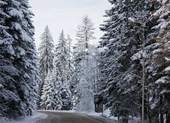 Winter Road