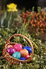 Ostern - Ostereier - Körbchen