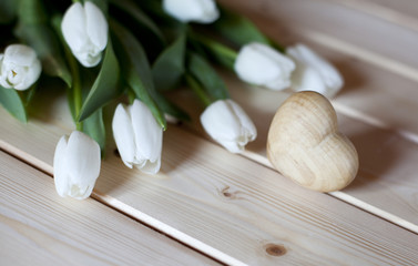 Fototapeta na wymiar tulipany